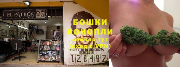 соль ск Кукмор