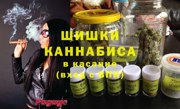 МДПВ Бородино