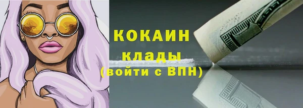 МДПВ Бородино