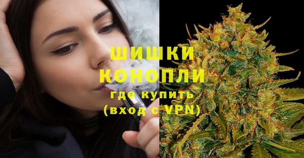 МДПВ Бородино