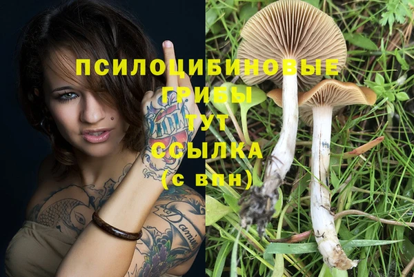 МДПВ Бородино