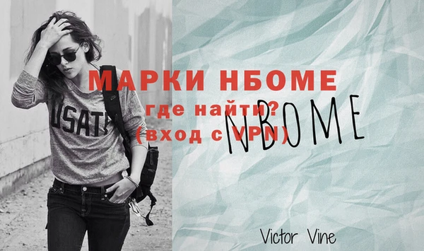 МДПВ Бородино