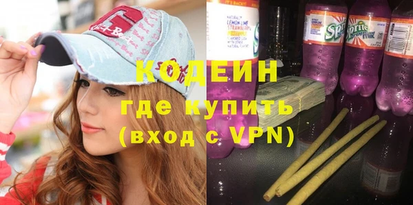 МДПВ Бородино