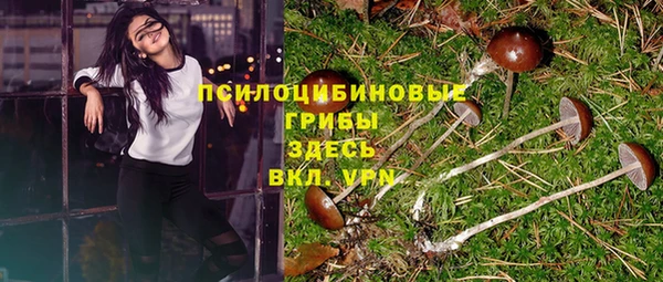mdpv Бугульма